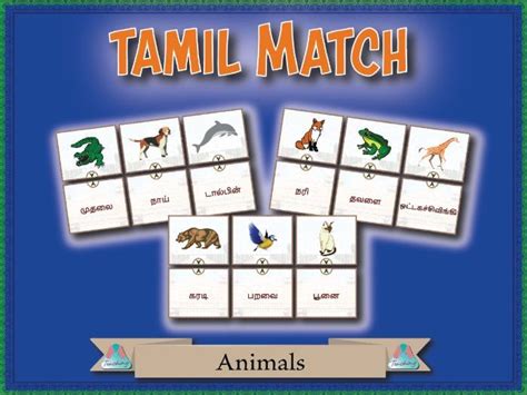 bet match meaning in tamil|match meaning in Tamil .